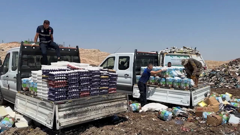 Şanlıurfa’da 8 ton küflenmiş gıdaya el konuldu