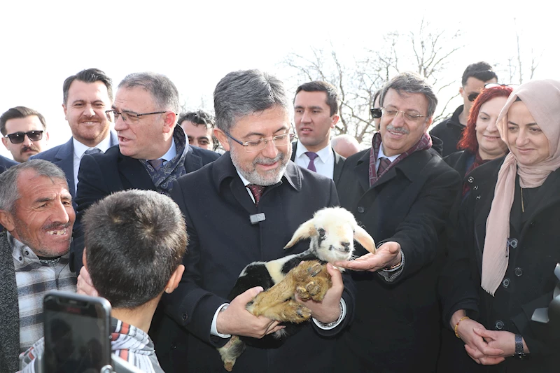 Hayvancılıkta yeni destekleme modeli yürürlüğe girdi