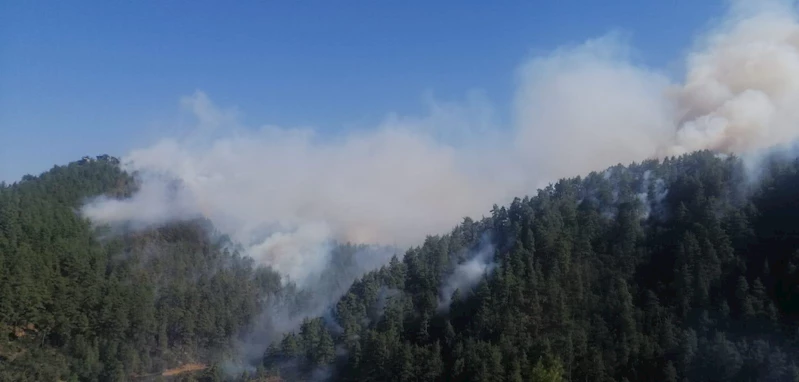 Kahramanmaraş’ta orman yangını; Fırnız