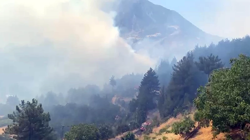 Kahramanmaraş’ta orman yangını (2)