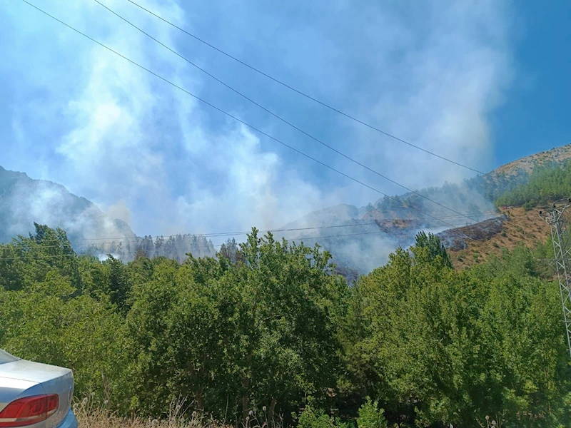 Kahramanmaraş’ta orman yangını