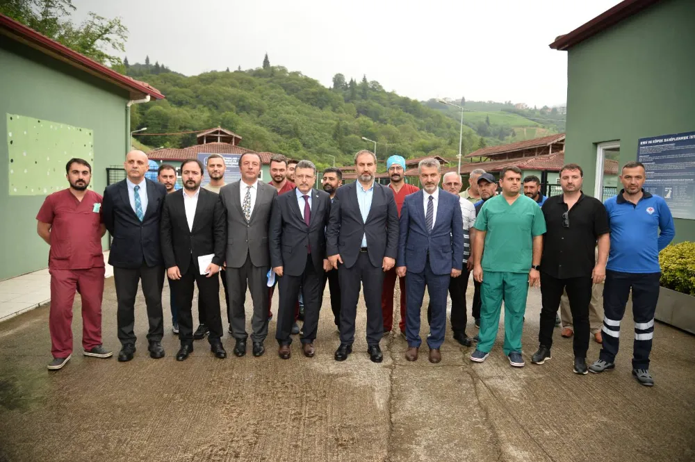 Trabzon Büyükşehir Belediyesi Sokak Hayvanlarına Sahip Çıkıyor: Yeni Yasa ve Barınaklar Yolda