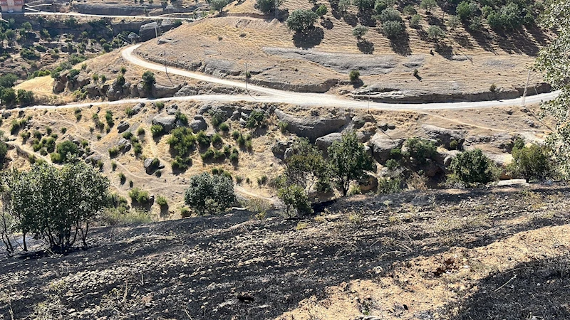 Siirt’te örtü yangını