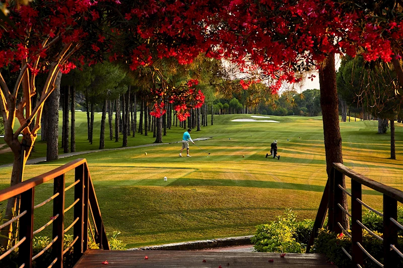 THY Dünya Golf Kupası Antalya