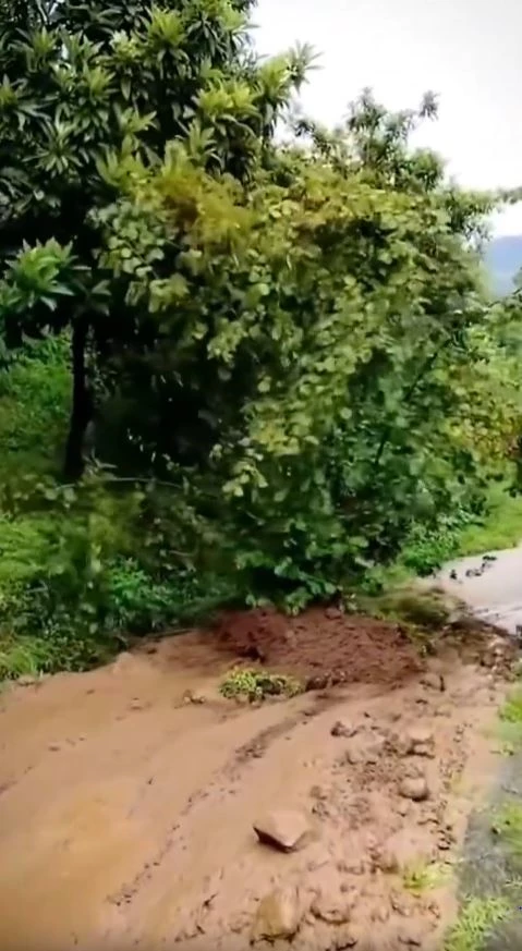 Heyelanla kökünden sökülen fındık ağacının sürüklenmesi kamerada 