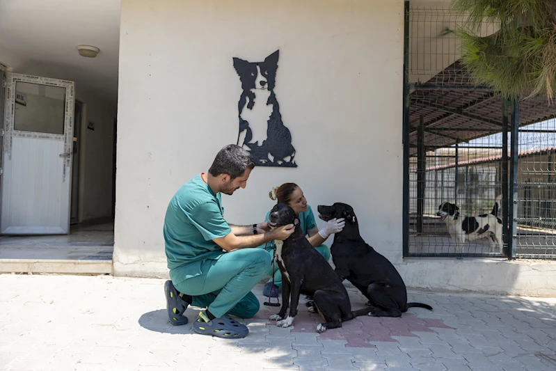 Zeytin ve Rüzgar hayata tutundu