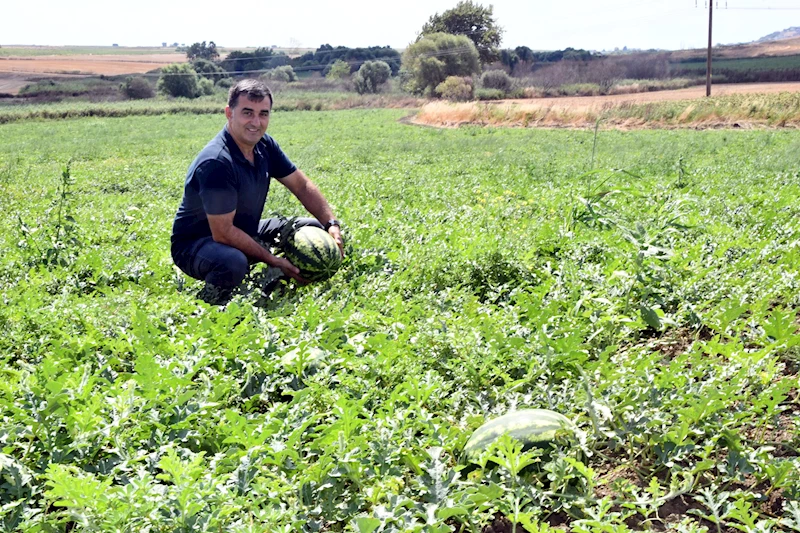 Tekirdağ