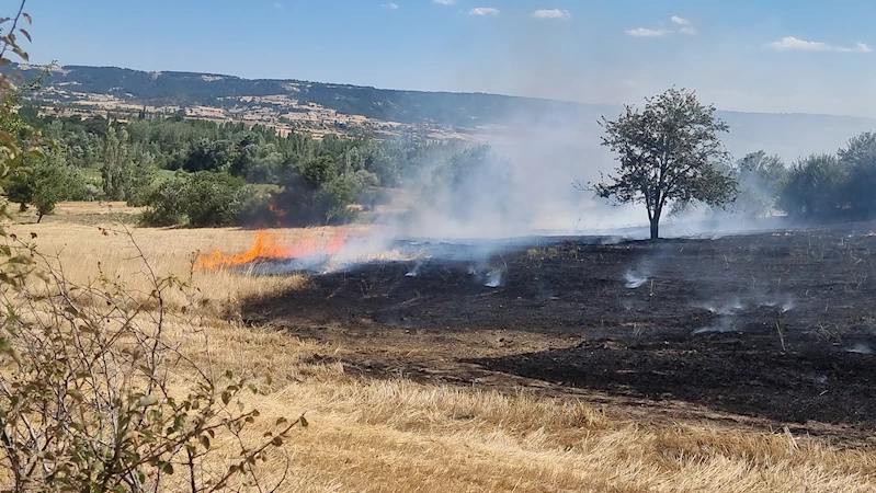 Barakada çıkan yangın, tarlaya sıçradı