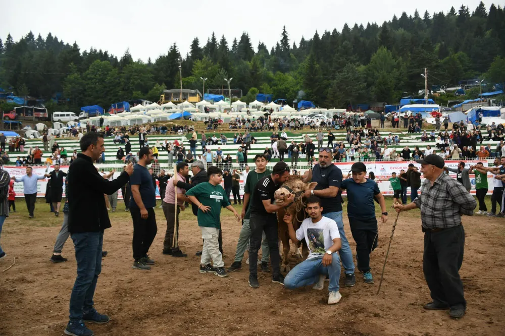 43. Kafkasör Kültür, Turizm ve Sanat Festivali