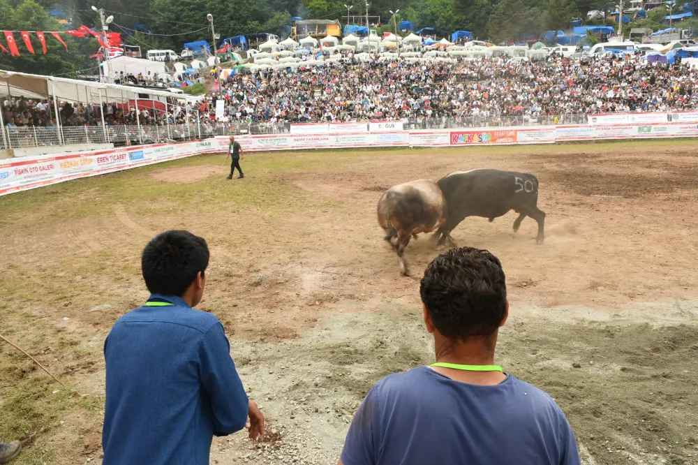 Kafkasör Festivali