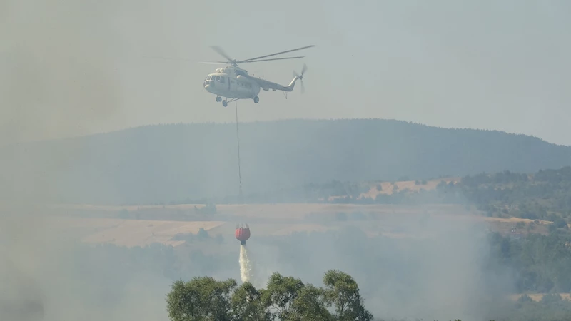 Sazlıkta çıkan yangın, helikopterli müdahaleyle kontrol altına alındı