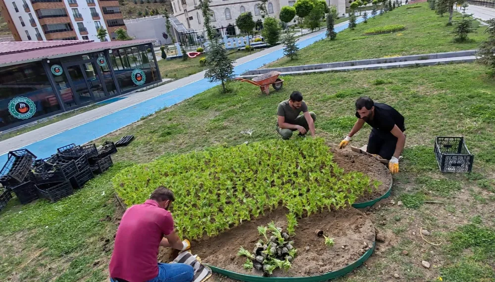 Bayburt Belediyesi, Temizlik ve Peyzaj Çalışmalarına Hız Verdi