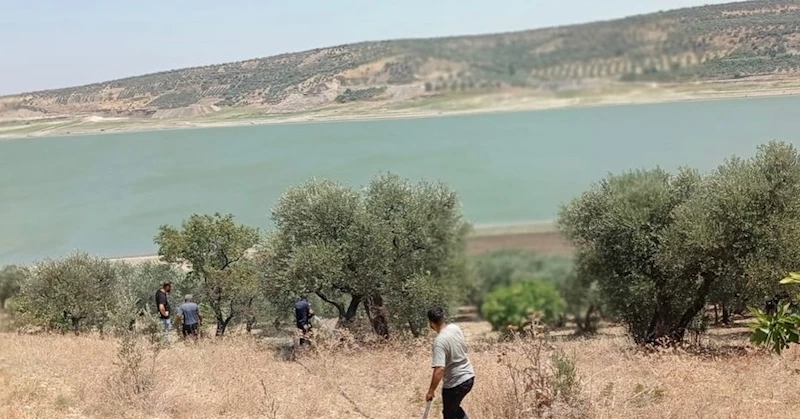 Hatay’da 2 hektar zeytinlik yandı 