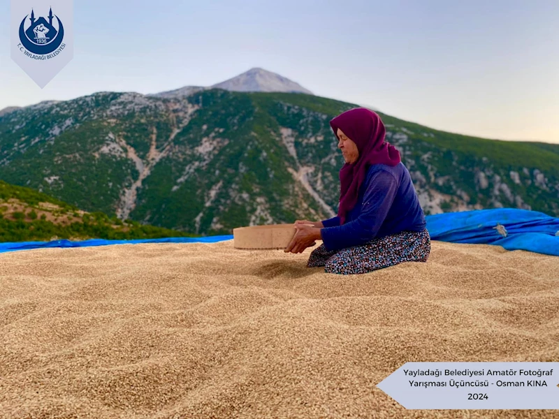 Yayladağı festivalinde fotoğraf yarışması sonuçları belli oldu 