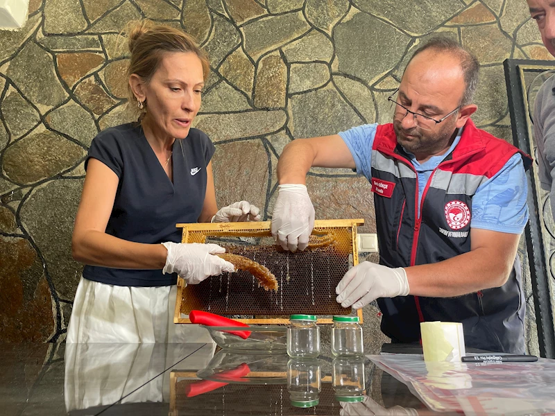 Hacettepeli bilim insanlarından Anzer balı sağımı