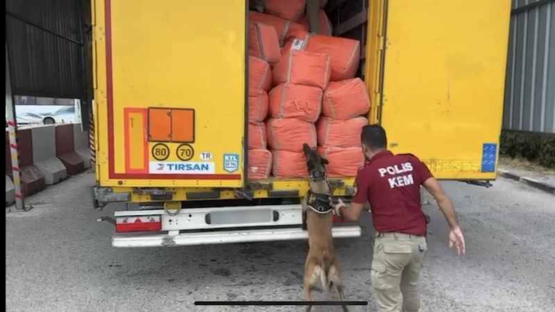 TIR’daki tekstil torbalarından 166 kilo 700 gram uyuşturucu çıktı 