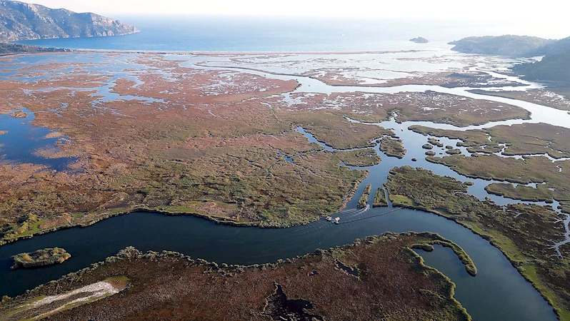 Dalyan Kanalı