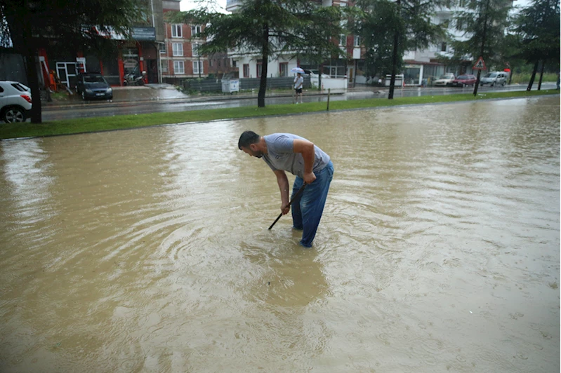 Ordu