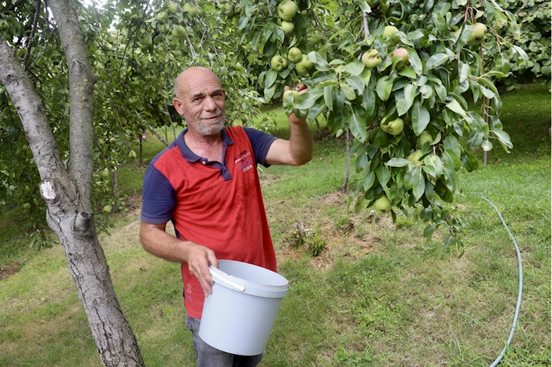 Bahçesinde yetiştirdiği ürünleri yoldan geçenlerle paylaşıyor