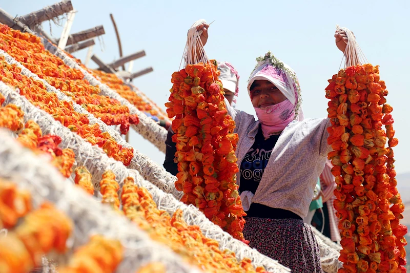 Kurutmalık sezonunda Gaziantep