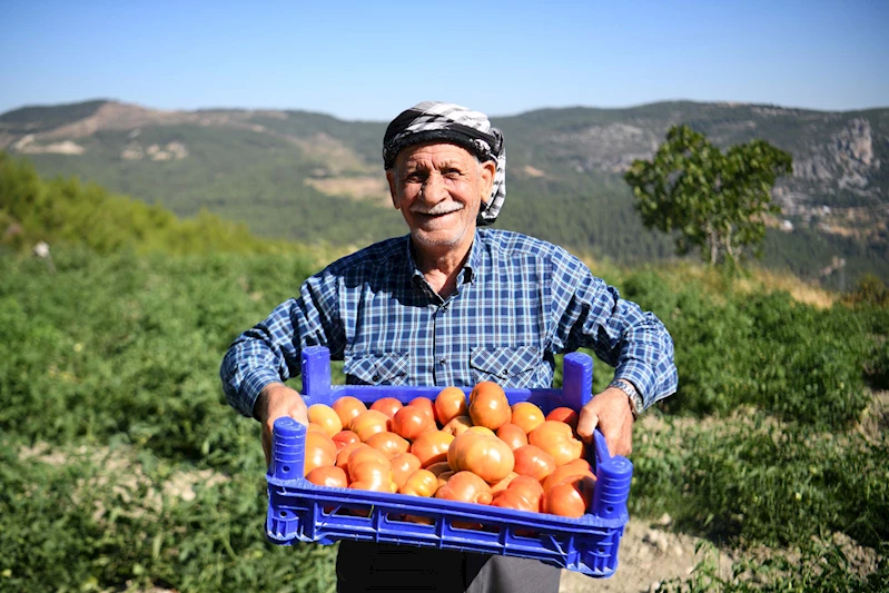 Bornova Belediyesi