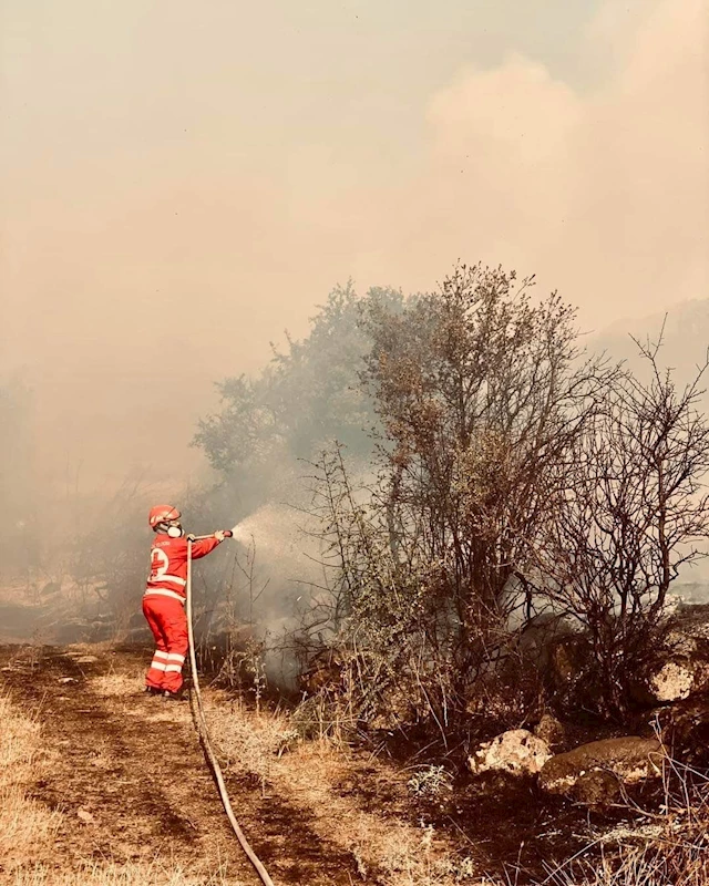 WCK ve IFRC Yunanistan’da yangından etkilenen bölgelere yardım çalışmalarını sürdürüyor 