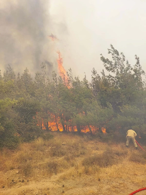 Çanakkale’de orman yangını/ Ek fotoğraflar