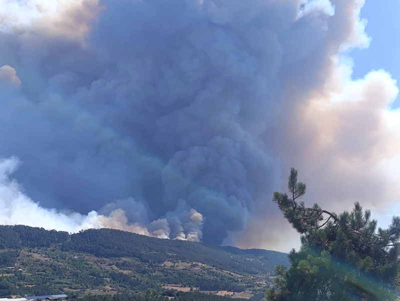 Bolu’da orman yangını (2)