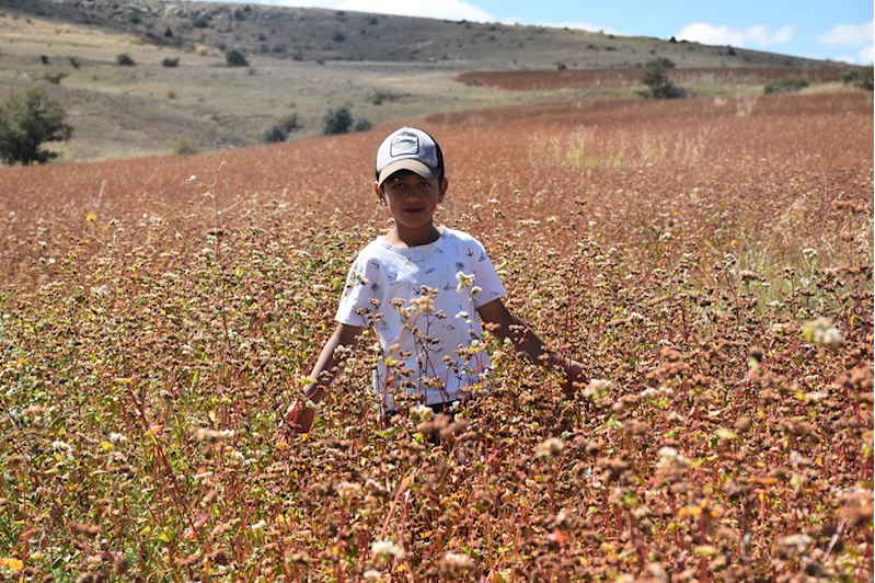 Gümüşhane