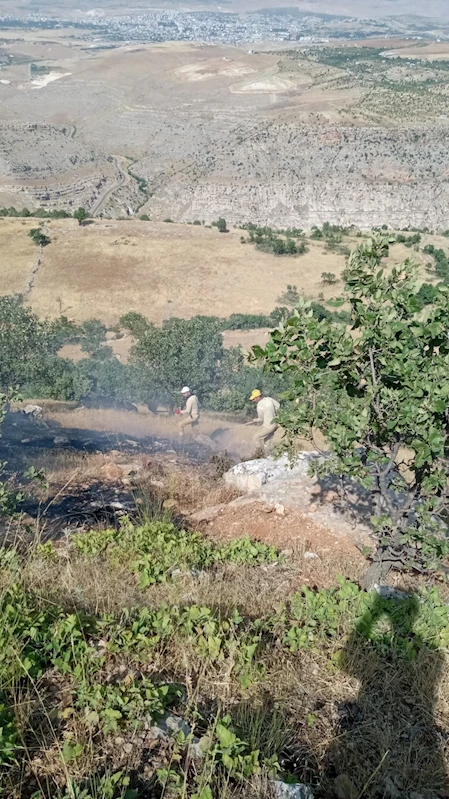 Siirt’te örtü yangını; 40 dönüm alan zarar gördü