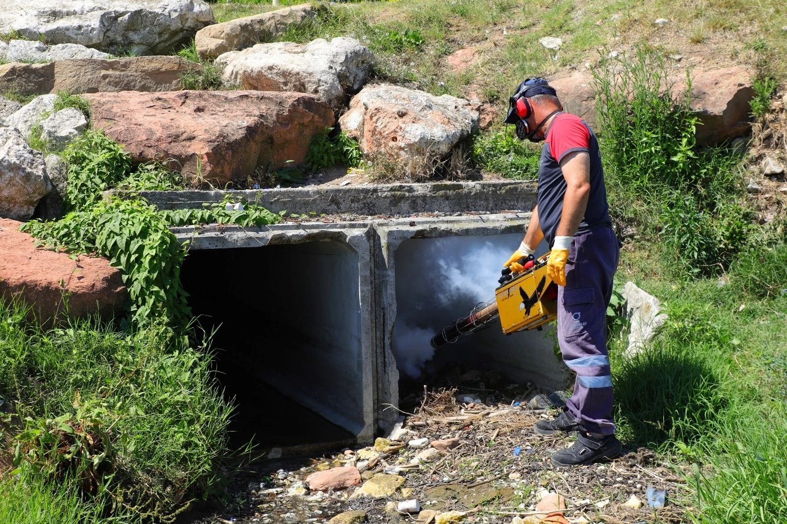 Büyükşehir vektörlere karşı savaşını sürdürüyor