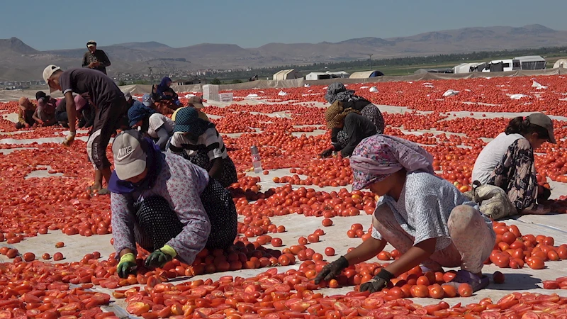 Erciyes