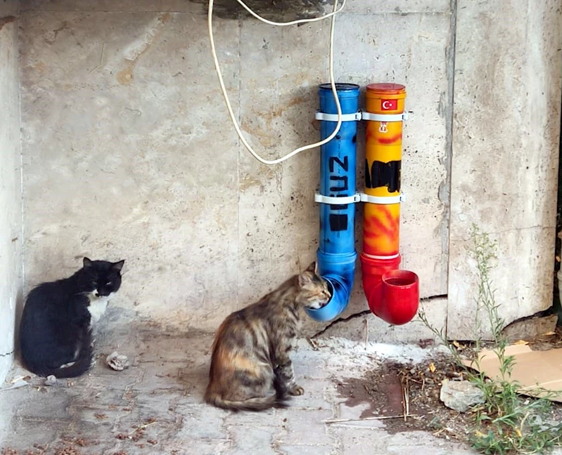 Muhtar ve çocuklar, sokak hayvanları için renkli mama ve su kapları hazırladı