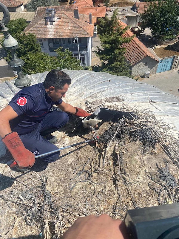 Cami minaresindeki yaralı leyleği belediye ekipleri kurtardı