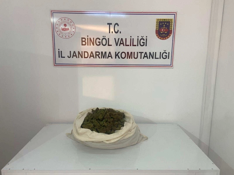 Bingöl’de 815 kök kenevir, 3,7 kilo esrar ele geçirildi