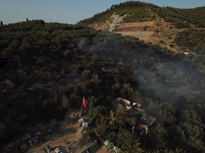 Kulübedeki yangın, zeytin bahçelerine sıçradı (2)