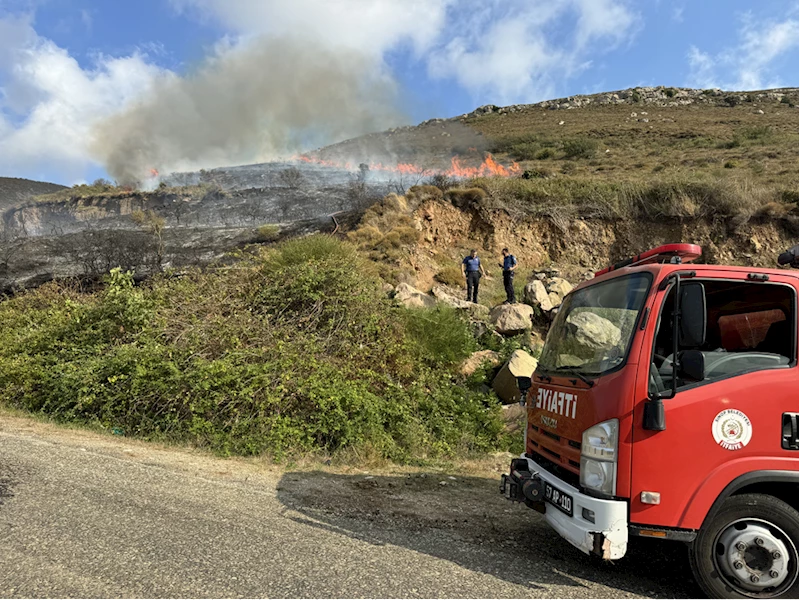 Sinop’ta çıkan örtü yangını söndürüldü 