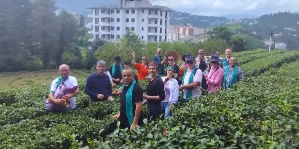 Başkonsoloslar Çay Topladı Ve Çaykur Ziraat Çay Bahçesini Çok Beğendiler