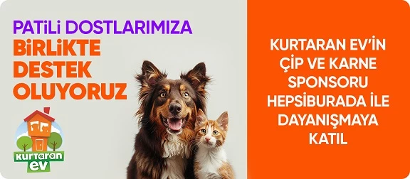 Hepsiburada, Dünya Köpek Günü’nde ‘Patili Dostlara Destek’ sayfası açtı