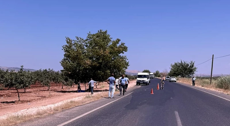 Öğretmenin fıstık bahçesinde cesedi bulundu