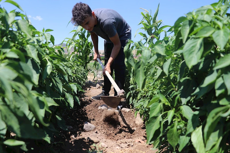 Dünya şampiyonluğu için tarlada çapa, bahçede odun kırıyor