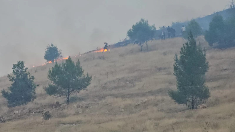 Şanlıurfa’da ağaçlık alanda çıkan yangın söndürüldü