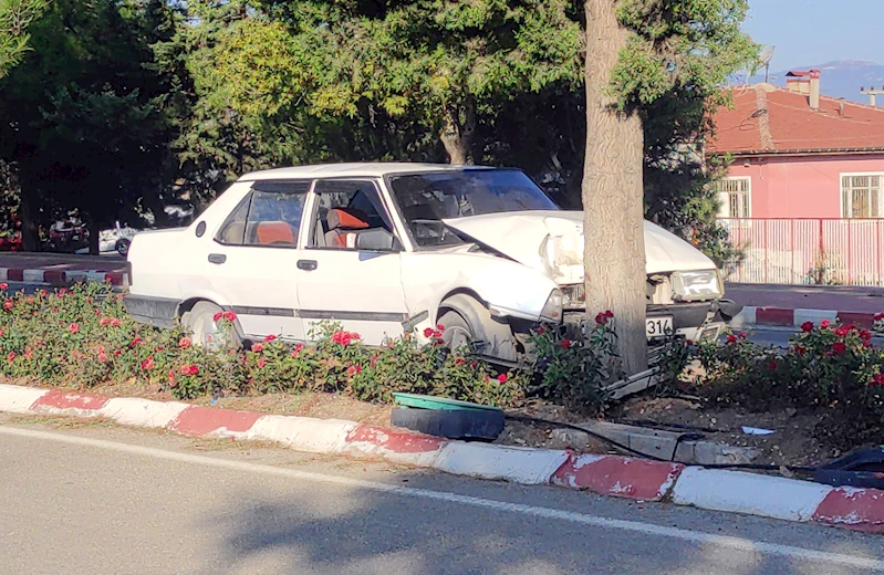 Refüjdeki ağaca çarpan otomobilin sürücüsü yaralandı