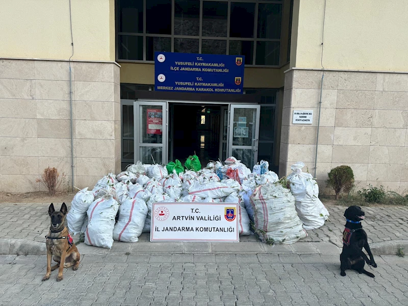 Artvin’de 502 kilo esrar ele geçirildi; baba ve oğlu tutuklandı (2)