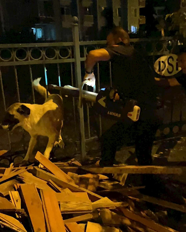 Hatay’da, demir korkuluklara sıkışan köpeği itfaiye ekibi kurtardı