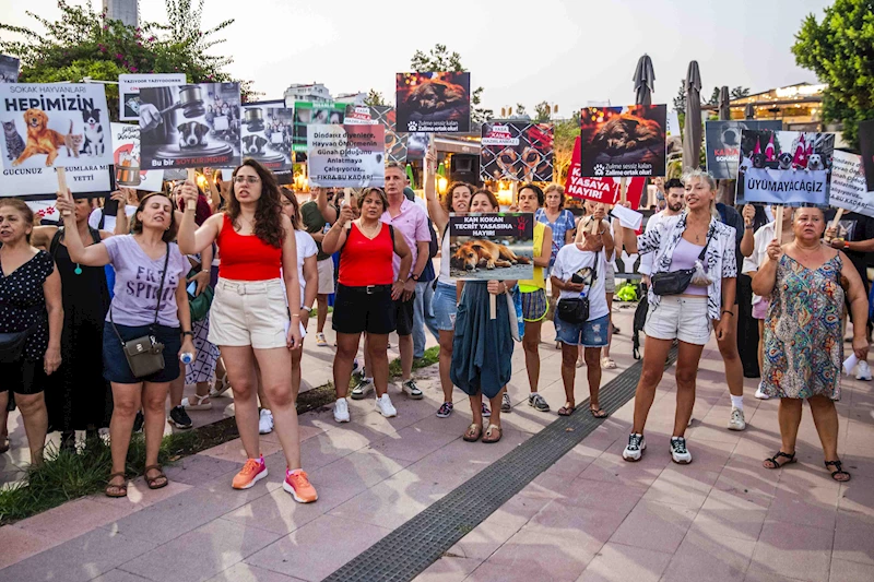 Hayvanseverler yasanın geri çekilmesi için eylem yaptı