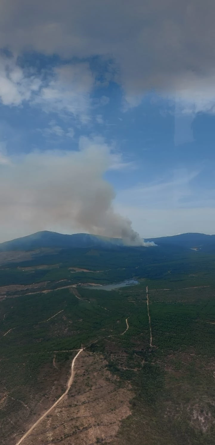 Yalova’da orman yangını