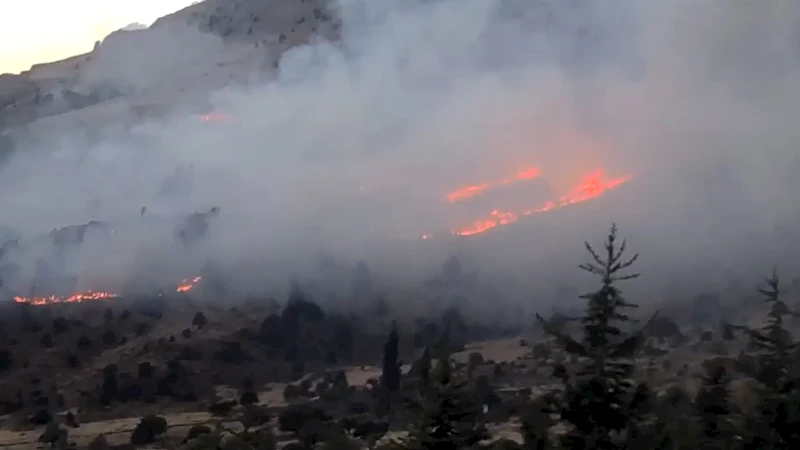 Kahramanmaraş’ta orman yangını (2)