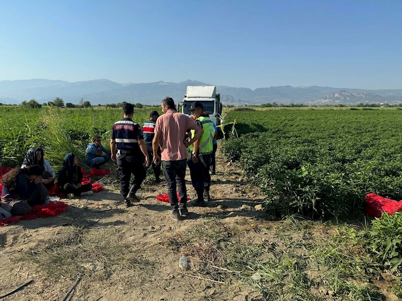 Kamyonla geri manevra yaparken tarlada uyuyan Ayşenur