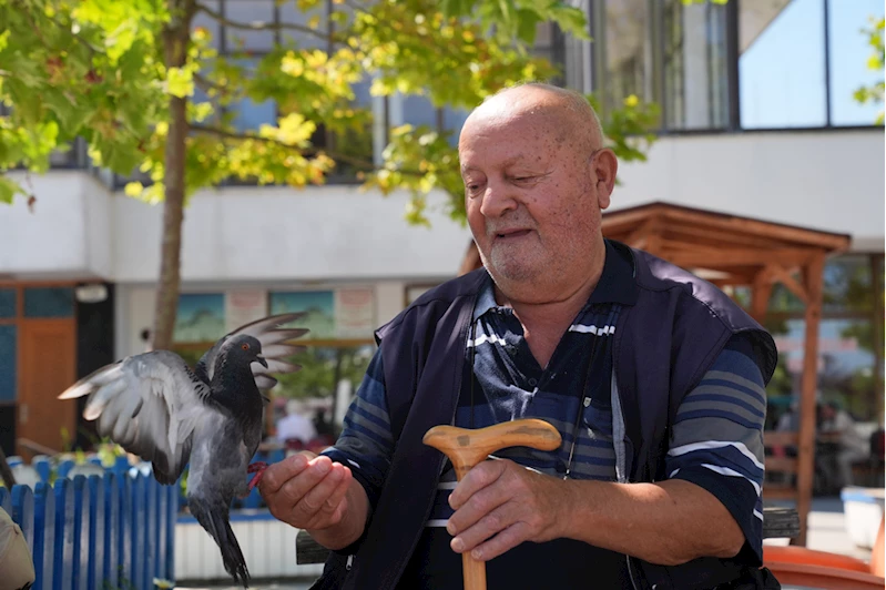 Necmi dedenin köyden şehre güvercin besleme mesaisi